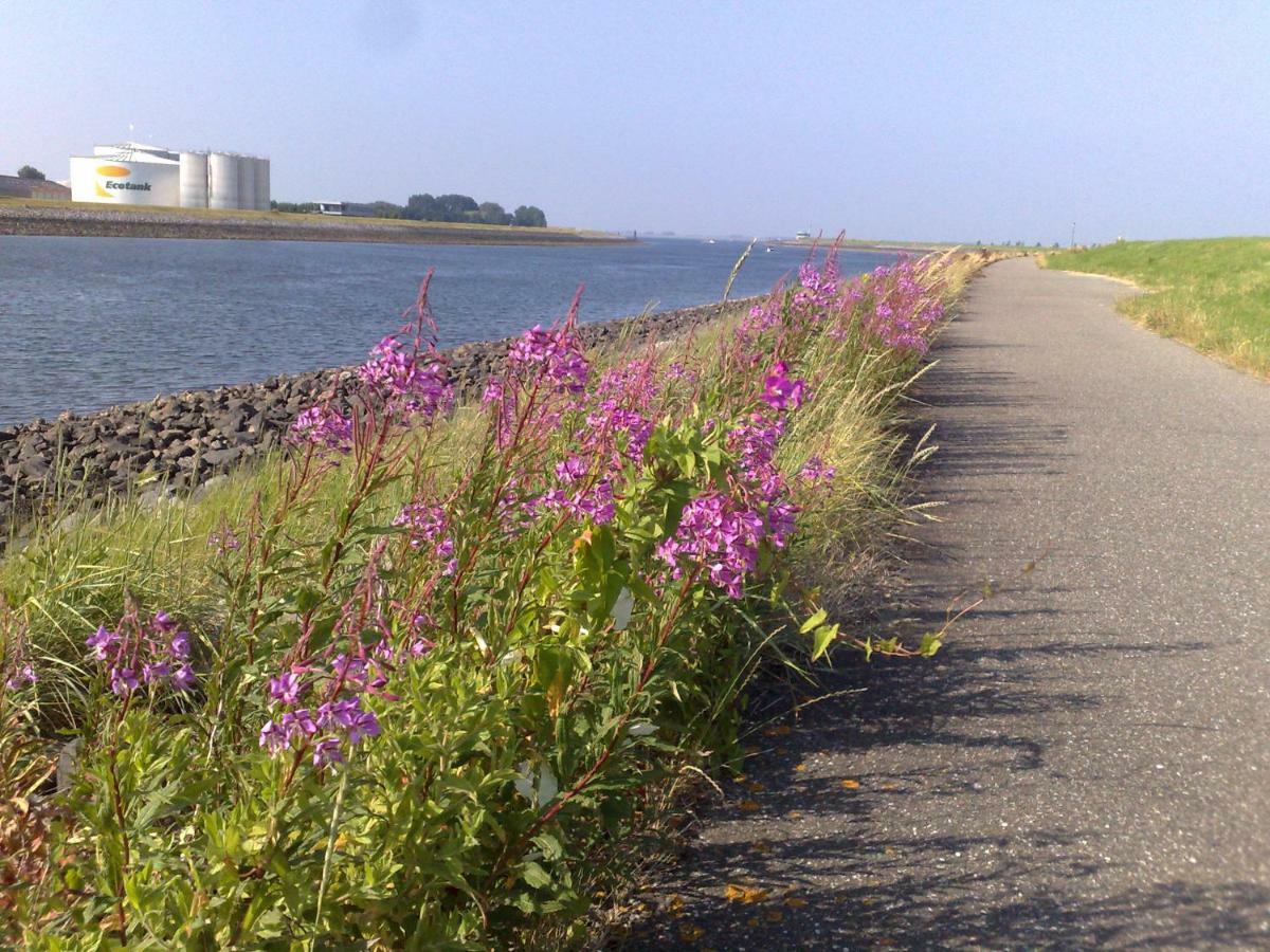 Middensluis Vakantiehuis Wemeldinge Zewnętrze zdjęcie
